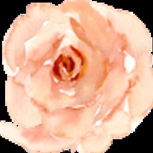 Meet your Posher, Olyveia